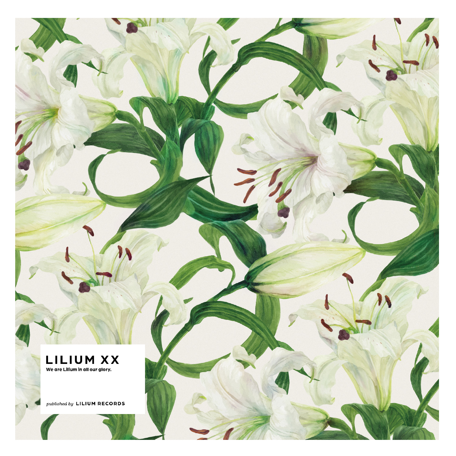 Lilium ダウンロード